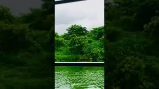 Hatir Jheel Beauty of nature from boat