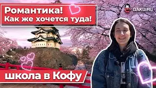 Как живут русские студенты в Японии? Как найти работу или подработку в Японии?