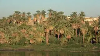 КРУИЗНЫЙ ЕГИПЕТ - КРУИЗ ПО НИЛУ.  CRUISE EGYPT - CRUISE ON NILE.