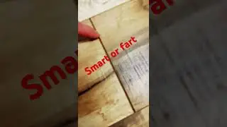 Smart or fart idea