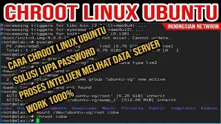 CHROOT LINUX UBUNTU | SOLUSI LUPA PASSWORD LINUX | PROSES INTELIJEN CEK BUKTI DATA DIGITAL SERVER