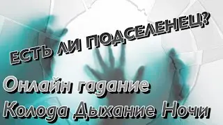 ЕСТЬ ЛИ ПОДСЕЛЕНЕЦ?ГАДАНИЕ ОНЛАЙН/ДИАГНОСТИКА/Колода Дыхание Ночи.