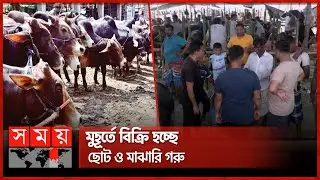 শেষ মুহূর্তে ঢাকার পশুরহাটে তুমুল বেচাকেনা | Qurbani Cow Haat | Eid Ul Adha | Dhaka | Somoy TV