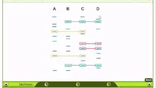 DNA fingerprinting