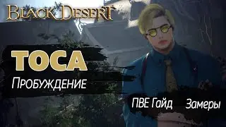 Тоса Пробуждение | БДО | ПвЕ Гайд | Dosa Awakening | BDO | PvE Guide