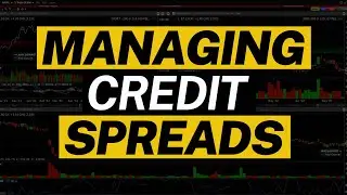 The Expiry Edge: How to Dominate Credit Spreads in Every Possible Outcome!