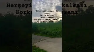 Yarım kalmak #kurdishmusic #helbestakurdi #hamitkaradeniz #keşfet #youtubeshorts #shots #tiktok #fyp