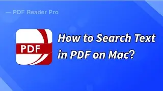 How to Search Text in PDFs on Mac?