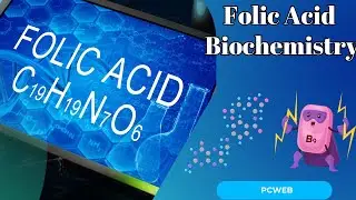 Understanding the Biochemistry of Folic Acid