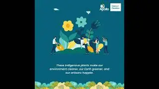 World Health Day