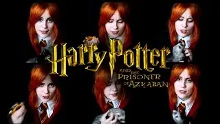 Double Trouble - Harry Potter and the Prisoner of Azkaban (Gingertail Cover)