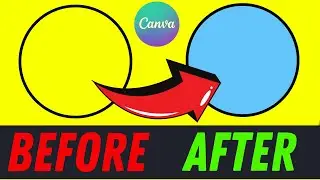 How to Fill a Shape with Color in Canva — A Beginner's Guide (2024)