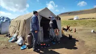 A routine of nomadic daily life in the mountain heights in early autumn