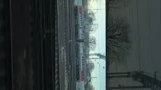 BTS 2TE116 and RZD 2M62U diesel locomotives running at train station Mytishi #freighttrain