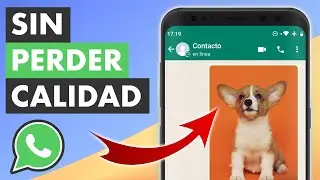 COMO MANDAR VIDEOS POR WHATSAPP SIN PERDER CALIDAD