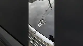 Оторвали шильдик на мерине.