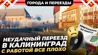 Почему я не захотела оставаться в Калининграде? Жизнь на Сельме