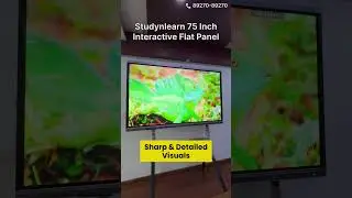 Best Interactive Flat Panel 75 Inch - 4K Multi Touch Digital Smart Board For Classrooms