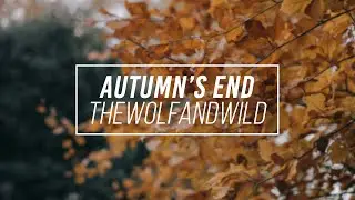 Royalty Free - Autumn's End (Original Music)