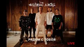 Animal ДжаZ — Рядом с тобой (Live, 2024)