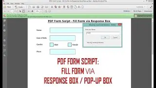 PDF Form Script  -  Fill Form via Response Box / Pop up Box