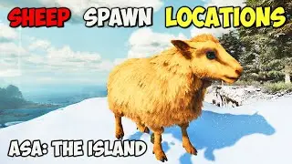 ASA: BEST Ovis Spawn LOCATIONS | ARK Survival Ascended The Island