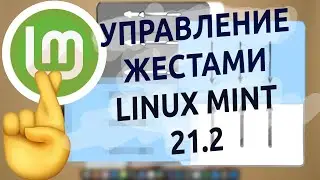 🤌 Управление жестами на тачпаде в Linux Mint 21.2 🐧