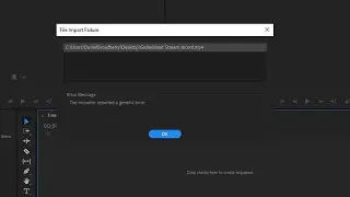 The Importer Reported a Generic Error Adobe Premiere Pro (SOLVED)