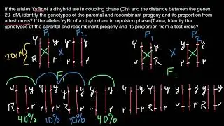 Cis and Trans | Coupling  Repulsion | Gene recombination