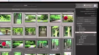 curso de lightroom 5 capitulo 2 - Importando fotografías I