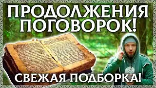 ПОГОВОРКИ! Утерянное продолжение русских пословиц и поговорок! Новая подборка!