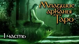 Младшие арканы Таро ч.1 - Жезлы | Интенсив курс | Школа Таро