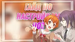 ГАЙД ПО НАСТРОЙКАМ НОТ!|BanG Dream!|