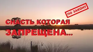 ЗАПРЕЩЕННЫЕ законом ПРИМАНКИ! РАБОТАЮТ или НЕТ, 