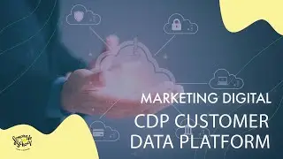 O QUE É UMA CUSTOMER DATA PLATFORM | CDP | LEMONADE SCHOOL