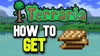 How to Get a Parrot Cracker in Terraria (Pet Parrot Summon)