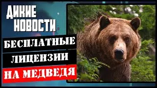 Волки съели человека Кубань/Запретить тепловизоры/Убили 26 краснокнижных оленей/Дикие новости