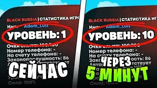 ❗ШОК! КАК БЫСТРО ПОДНЯТЬ СВОЙ УРОВЕНЬ на BLACK RUSSIA 2024! 10 УРОВЕНЬ за 5 МИНУТ!