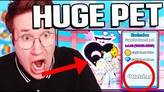 Sushi Clickers X: *OP* HUGE PETS & Beginner GUIDE | Exclusive Pets Showcase | New Roblox Clicker Sim