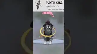 спасибо за 3к! #рекомендации #вилдкрафт #wildcraft #3к