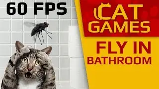 CAT GAMES - 😺 Fly in the Bathroom (VIDEO FOR CATS TO WATCH) 60FPS