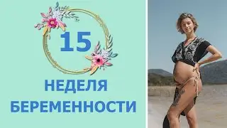 15 Неделя Беременности. Развитие плода и ощущения мамы