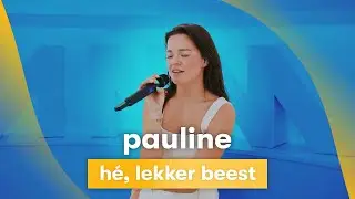 MNM LIVE: Pauline - Hé, lekker beest