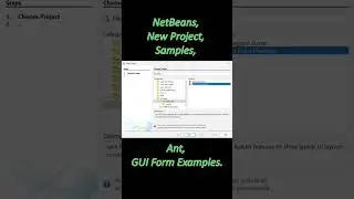 T ParaMind Idea and Code Presenter New GUI Project with NetBeans 20 Properties JDK 8 Full JRE UTF 8