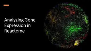 Analyzing Gene Expression in Reactome