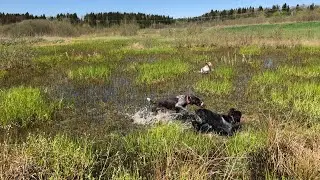 Выход в поле. Отвечаю на вопросы.