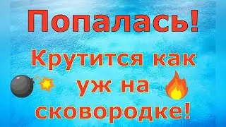 Деревенский дневник очень многодетной мамы \ ПОПАЛАСЬ! Крутится как уж на сковородке! \ Обзор влогов