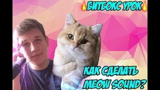 КАК СДЕЛАТЬ MEOW SOUND? | БИТБОКС УРОК!