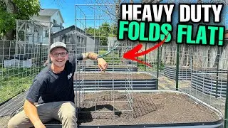 The BEST DIY Tomato Cage! Heavy-Duty and FOLDS FLAT!