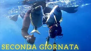 Pescasub: SECONDA GIORNATA IN TRASFERTA A TORRE SAN GIOVANNI - Spearfishing